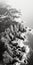 Delicately Rendered Black And White Aerial View Photography Of Rocky Beach