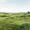 Delicately Rendered Grassland: Photorealistic Representation Of Grassy Terrain