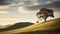 Delicately Rendered Lone Tree On Hill: Captivating Backlit Photography