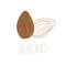 Delicious almond nuts. hand drawn icon. Vector design for product packing