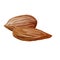Delicious almonds icon, cartoon style