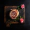 Delicious appetizing jamon rolled up in the shape of a rose on a black background,