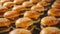 Delicious Array: A Scrumptious Spread of Hamburgers and Cheeseburgers - Tempting Fast Food Extravaga