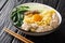 Delicious Asian homemade noodle soup with fried anchovies, meatballs and bok choy close-up in a bowl. horizontal