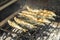 Delicious barbecued sardines - traditional food from Portugal