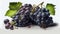 Delicious Black Grapes Bunch on Isolated White Background AI Generative