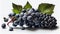 Delicious Black Grapes Bunch on Isolated White Background AI Generative