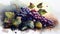 Delicious Black Grapes Bunch Watercolor Painting on Isolated White Background AI Generative