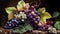 Delicious Black Grapes Bunch Watercolor Painting on Isolated White Background AI Generative