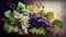 Delicious Black Grapes Bunch Watercolor Painting on Isolated White Background AI Generative