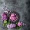 Delicious blackberry macarons on vintage plate and lilac flowers