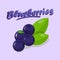 Delicious Blueberries Cartoon Social media Banner