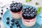 Delicious blueberry desserts on plate
