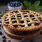 Delicious Blueberry pie, culinary photo