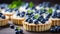 Delicious blueberry tartlet with fresh and juicy blueberries on a pristine white plate