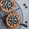 Delicious Blueberry tartlets with vanilla custard cream on grey