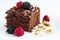 Delicious brownie with silvestre fruits.