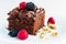 Delicious brownie with silvestre fruits closeup.