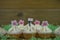 Delicious buttercream cupcakes topped with iced pink flower shapes and a miniature person figurine with springtime sign