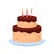 Delicious Cake with Candles for Birthday Party. Colorful Sweet Tasty Bakery. Cute Cake with Icing Chocolate Cream on