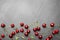 Delicious cherries on grey background