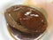 Delicious Chinese Food Macau Macao China Macanese Cuisine Hot Fresh Abalone Seafood Lunch Dinner Meal Oyster Soup Sauce