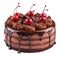 delicious chocolate cake with cherry isolated.