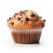 Delicious Chocolate Chip Muffin - Irresistible Treat For Every Sweet Tooth