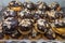 Delicious choux pastry topped with frosted chocolate and almonds