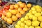 Delicious citrus fruits at market