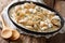 Delicious clams in a creamy sauce with parsley closeup on a plat