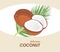 Delicious coconut. Label for design