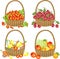 Delicious collection. Four complete baskets with strawberries, cherries, vegetables, fruits. A bountiful harvest. Vector
