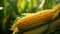 Delicious Corn Cob - A Mouthwatering Treat AI Generated