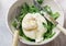 Delicious Creamy Italian Burrata Cheese with Olive Oil, fresh arugula and spices