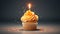 A delicious cupcake with a lit candle, ready to celebrate a special occasion