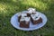 Delicious czech cocoa bun decorated with cottage cheese, baked tasty gourmet biscuit cut in squares on white plate in the grass