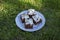 Delicious czech cocoa bun decorated with cottage cheese, baked tasty gourmet biscuit cut in squares on white plate in the grass