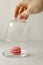 Delicious delicate multi-colored macaroons on a platter. female hand closes a transparent glass lid on a light background. close-
