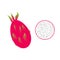 Delicious dragon fruit icon