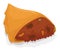 Delicious empanada with peas, potato and meat filling, Vector illustration