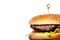 delicious fast food, burger, hamburger, cheeseburger, isolated on white background, full depth of field, clipping path