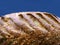 Delicious fresh baked bread with sesame seeds on dark blue background. Natural bakery products. Bread making concept. Brown backdr