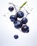 Delicious fresh blueberries splash diet nutrition white background