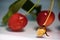 Delicious fresh cherry bitten and eaten by bird with stem and stone close up macro