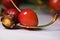 Delicious fresh cherry bitten and eaten by bird with stem and stone close up macro