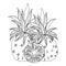 Delicious fresh citrus pineapples cartoon in black and white