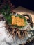 Delicious and fresh sea urchin dishes
