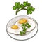 Delicious fried eggs on plate with parsley. Vector