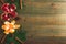 Delicious garnet, citrus, cinnamon and anise on wooden background. Christmas of New year concept. Copy space. Flat lay. Top view